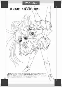 (C76) [YASRIN-DO (Yasu Rintarou)] Touka Kenran (Shin Koihime Musou) [English] =Team Vanilla=