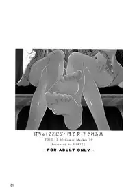 [Hibiki Kagayaki] A Book Where Patchouli and Satori Look Down On You With Disgust (English)