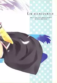 [REI's ROOM (REI)] EIN REENCOUNTER (Mahou Shoujo Lyrical Nanoha) [Chinese] [2007-07]