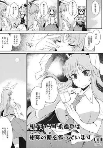(Reitaisai 8) [IncluDe, Team Inazuma (Foolest, Aizawa)] Do it!! (Touhou Project)