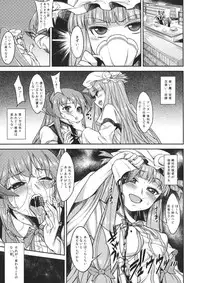 (Aka no Hiroba 8) [Depression (Kirieppa)] Seishin Reizoku (Touhou Project)