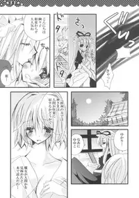 (C76) [Poniteke Zoku (Hashimo Yuki)] Majo no Utsukushii Yuujou no Hanashi -Youmu no Yakumo Yukari Kujo Nikki- (Touhou Project) [2nd Edition 2009-08-30]