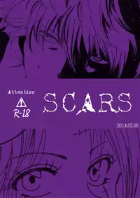 [A Joke is Hard!!! (Yanagi)] SCARS (Gintama)