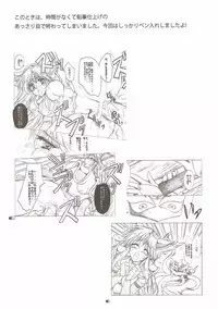 (C86) [Gin no Hoshitei (Tamiya Akito)] Riesz 1/12 Return (Seiken Densetsu 3)