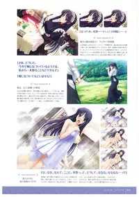 Walkure Romanze More & More Visual Fan Book
