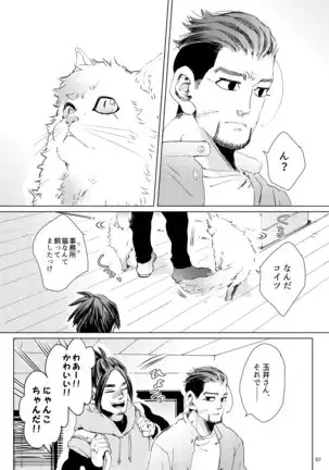 CATCH ME IF YOU ARE CAT