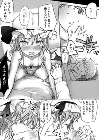 (Shuuki Reitaisai 5) [Mikkamisaki (Nadzuka)] Ojou-sama no Koukando ga MAX na Hon (Touhou Project)