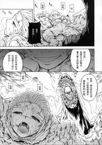 (C90) [Yokohama Junky (Makari Tohru)] Solo Hunter-tachi no Seitai (Monster Hunter) [Chinese] [中国翻訳] [VK1062喵&萌紋 漢化]