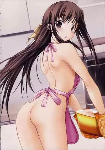 Shin Ringetsu Visual Fanbook