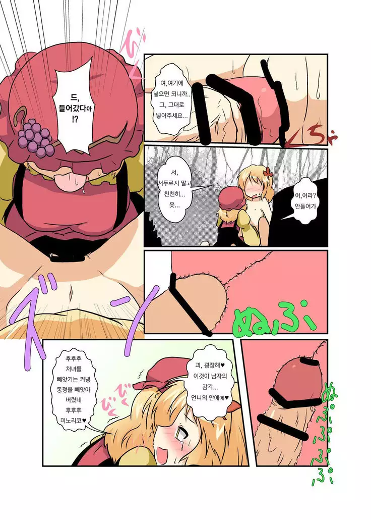 Touhou TS Monogatari ~Aki Shimai Hen~