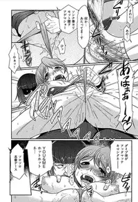 [bee] Meshimase Honey