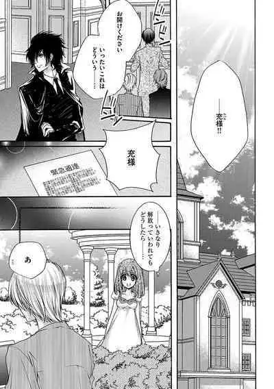 鬼畜兄弟の悶絶調教～私はいいなり奴隷～