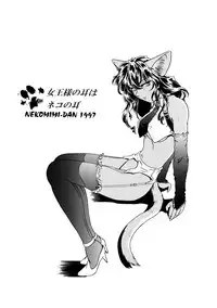 [ネコミミ団(.30-06)] CAZA MAYOR 2