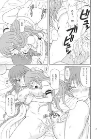 (C77) [Takakuya (Takaku Toshihiko)] Touhou Youjo Ranbu 10 (Touhou Project)