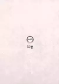 (Reitaisai 9) [Kuma-tan Flash!, Eclipse (Hanao., Rougetu)] KUMAlipse3 (Touhou Project)