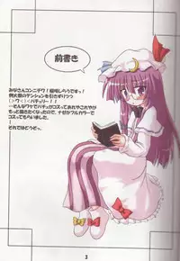 (SC32) [Schwester (Shirau Inasaki) Cosutte! Patchouli!! 2 (Touhou Project)