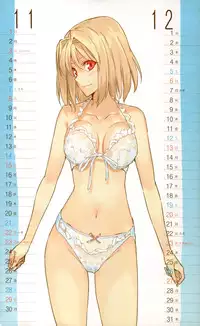 2009 Type-Moon Calendar [Moriisan-Tokono]