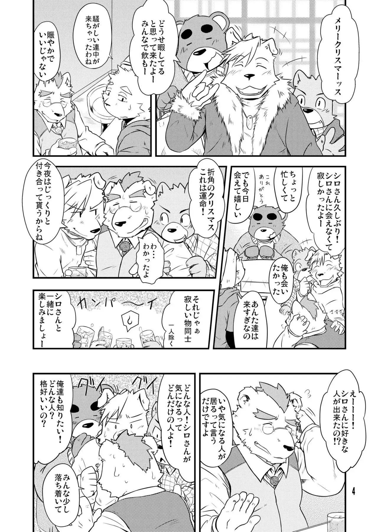 Shiroi Koibito