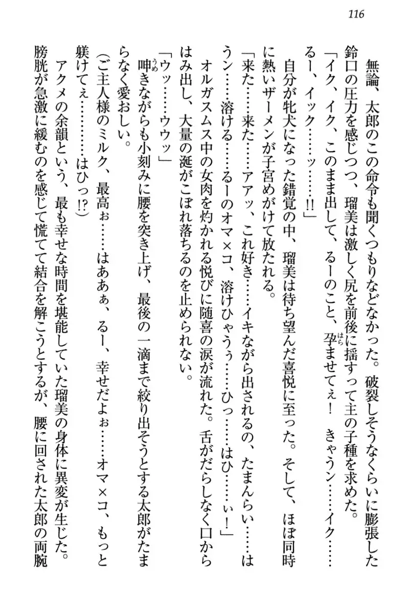 Boku to Ruu Senpai no Houkago Choukyou Nisshi - Kyou mo Watashi o Shitsukenasai!