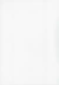 (C81) [Okina Flying Factory (OKINA)] EXPANSION