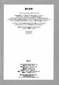 (C91) [Funi Funi Lab (Tamagoro)] Witch Bitch Collection Vol. 3 (Fairy Tail) [Chinese] [业余汉化]