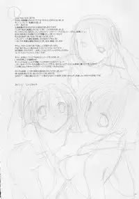 (C73) [Digital Lover (Nakajima Yuka)] D.L. Action 41 (Ragnarok Online)