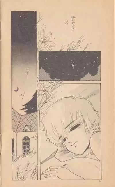 Shining May Image Storybook