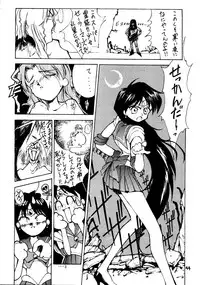 [Himitsu Kessha Tsuki to Yousei] Re-Flesh! (Sailor Moon)