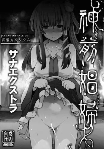 (C91) [Armament Calcium (Take Calcium)] Shinzen Shoufu -Sanaextra- (Touhou Project) [Chinese] [朔夜汉化]
