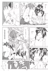 [NEO-de (Natsuzaka)] Tadashii Hito (Gundam Seed Destiny)