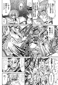 Summon Night Ex-Thesis ~Yoake no Tsubasa~