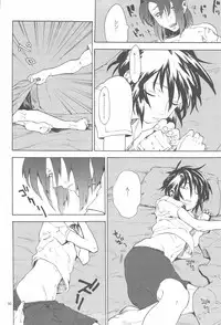 [NEO-de (Natsuzaka)] Tadashii Hito (Gundam Seed Destiny)