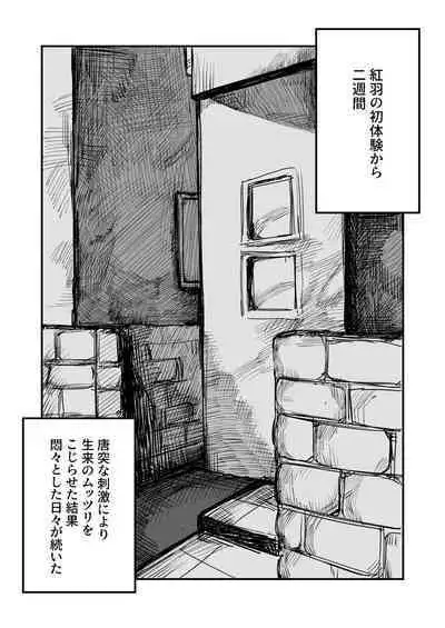 Onee-chan ga Kanojo ni Naru Made