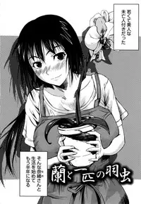 [Fuetakishi] Chu Berozu