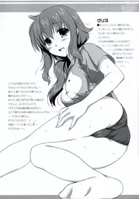 (C73)[Alpha to Yukaina Nakamatachi] Rumi iX (Gundam 00)