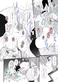 [DIEPPE FACTORY Darkside (Alpine)] FATE FIRE WITH FIRE Book. III (Mahou Shoujo Lyrical Nanoha)