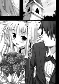 (C88) [IV VA SHIN (Mikuni Mizuki)] Home Sweet Home ~Soushuuhen~ (Mahou Shoujo Lyrical Nanoha) [Chinese] [Drz漢化]