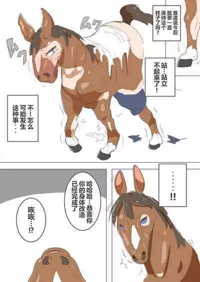 有秘密的竞赛马