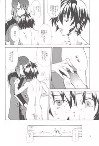 [NEO-de (Natsuzaka)] Tadashii Hito (Gundam Seed Destiny)