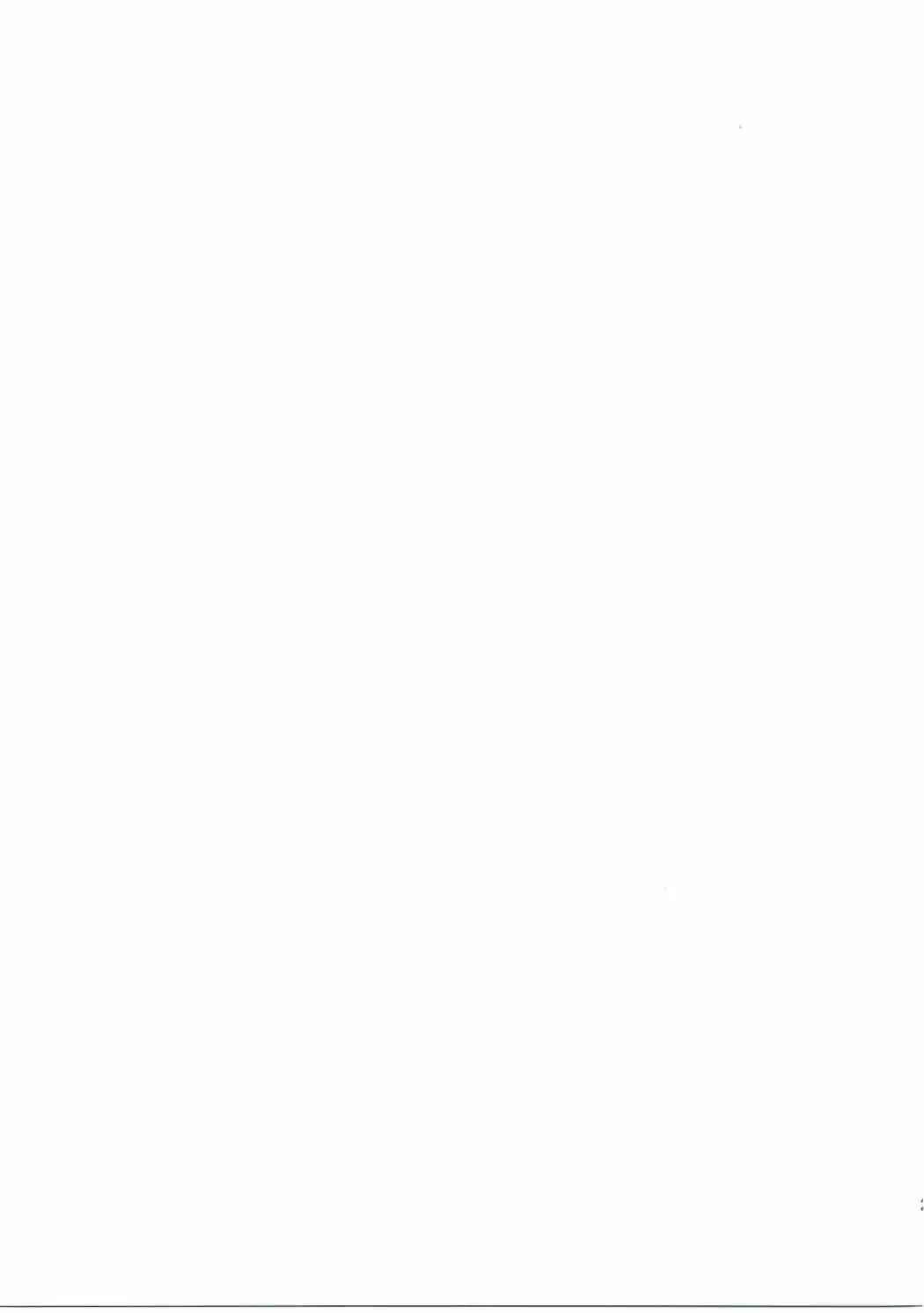 にこまきにゃんにゃん本