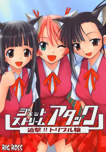 (C67) [BIG BOSS (Hontai Bai)] Setsuna no Kokyou (Mahou Sensei Negima!)
