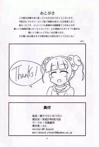 Kiwami Yaritai Houdai | 極 想怎么玩就怎么玩