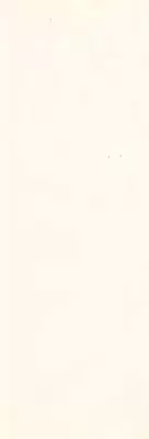 [Takashi Ishii] Tenshi no Harawata Vol. 01