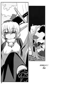 (C87) [Kieyza cmp (Kieyza)] TOHO N+ 109/14 (Touhou Project)