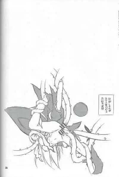 Book of the Committee Union with the Naked Apron Alliance. 2.