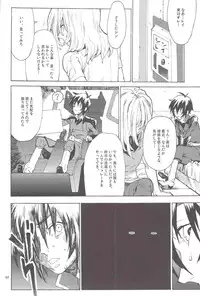 [NEO-de (Natsuzaka)] Tadashii Hito (Gundam Seed Destiny)