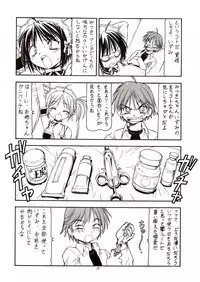 (C68) [Toraya (ITOYOKO)] Kore ga Kichiku na Goshujinsama (He is My Master)
