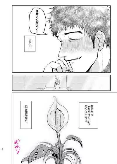 Aisa Retakute Shinanai Dake / Serirei Web Sairoku