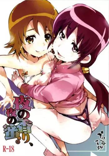 (C81) [Bronco Hitoritabi (Uchi-Uchi Keyaki)] Yoru ni Hibiku 2 (Suite PreCure♪)