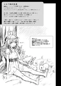 [H.B.A (Usagi Nagomu)] Tasogare no Shou Elf 3 [Digital]